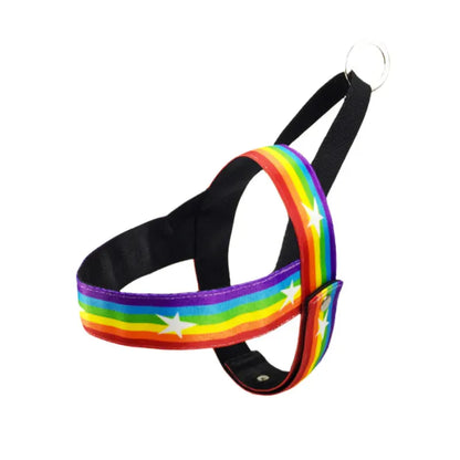 Harnais Pour Chien Arc-en-ciel Avec Étoiles - Souple Et Ajustable Pour Le Confort Et La Sécurité