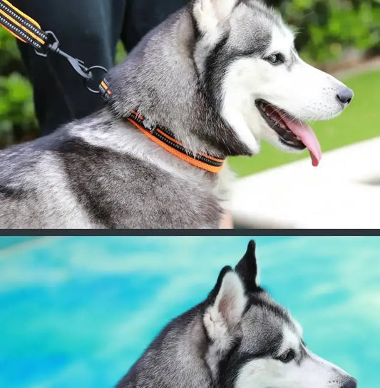 Collier De Chien Réfléchissant Truelove - Respirant Et Réglable Pour Un Confort Maximal