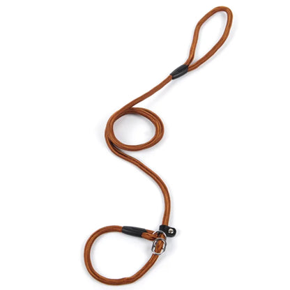 Laisse De Chien En Corde Résistante Avec Mousqueton Pour Une Promenade En Toute Sécurité