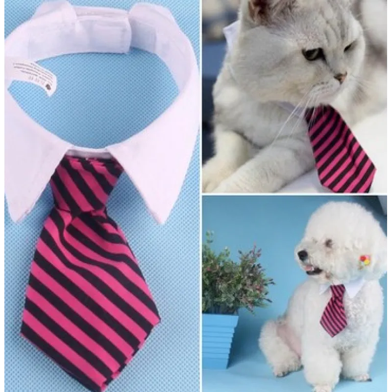 Col Élégant Pour Animaux De Compagnie Avec Cravate Pour Chiens Et Chats