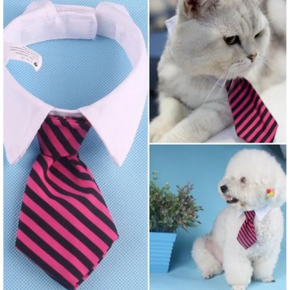 Col Élégant Pour Animaux De Compagnie Avec Cravate Pour Chiens Et Chats