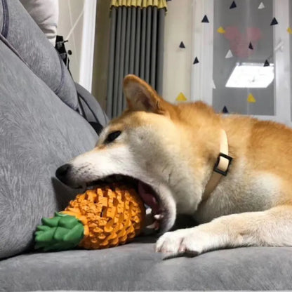 Jouet Fruit En Caoutchouc Pour Chien