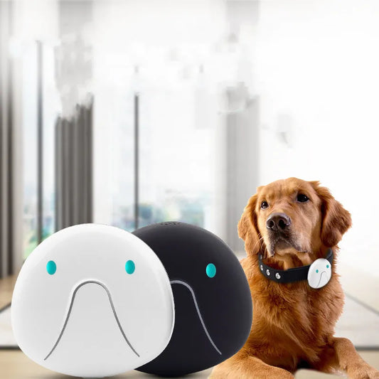 Collier De Chien Avec Traceur Gps - Facile À Attacher Et Fiable