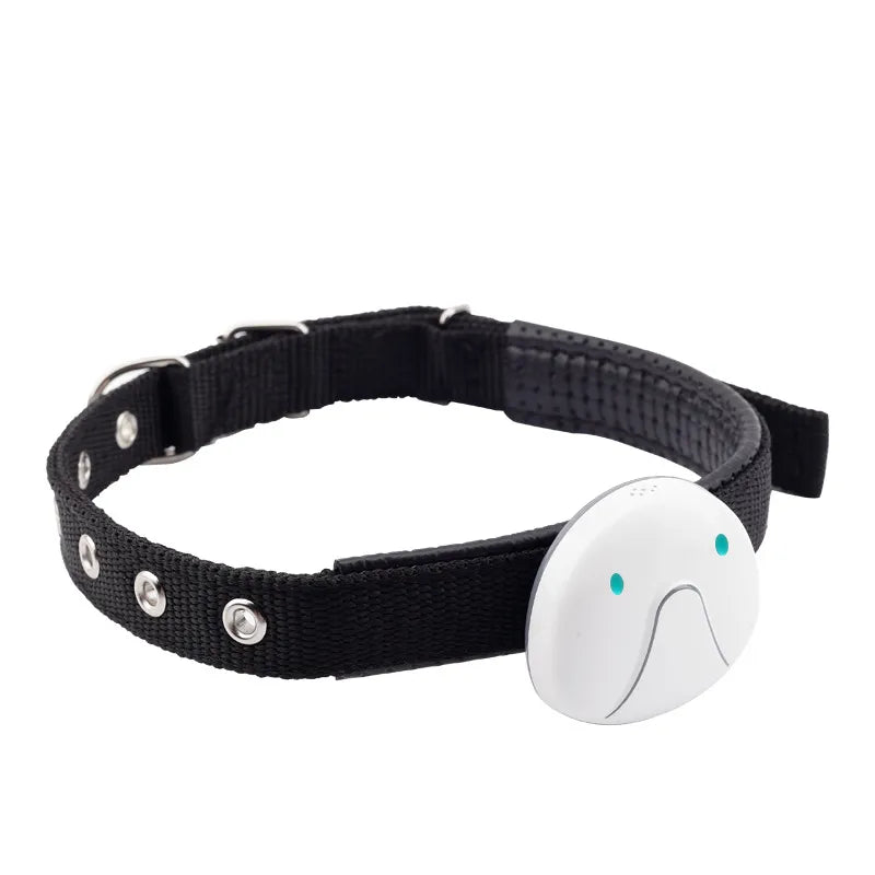 Collier De Chien Avec Traceur Gps - Facile À Attacher Et Fiable