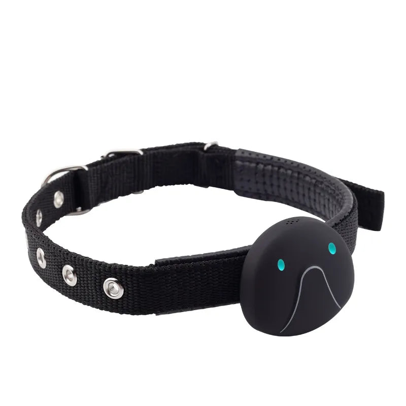Collier De Chien Avec Traceur Gps - Facile À Attacher Et Fiable