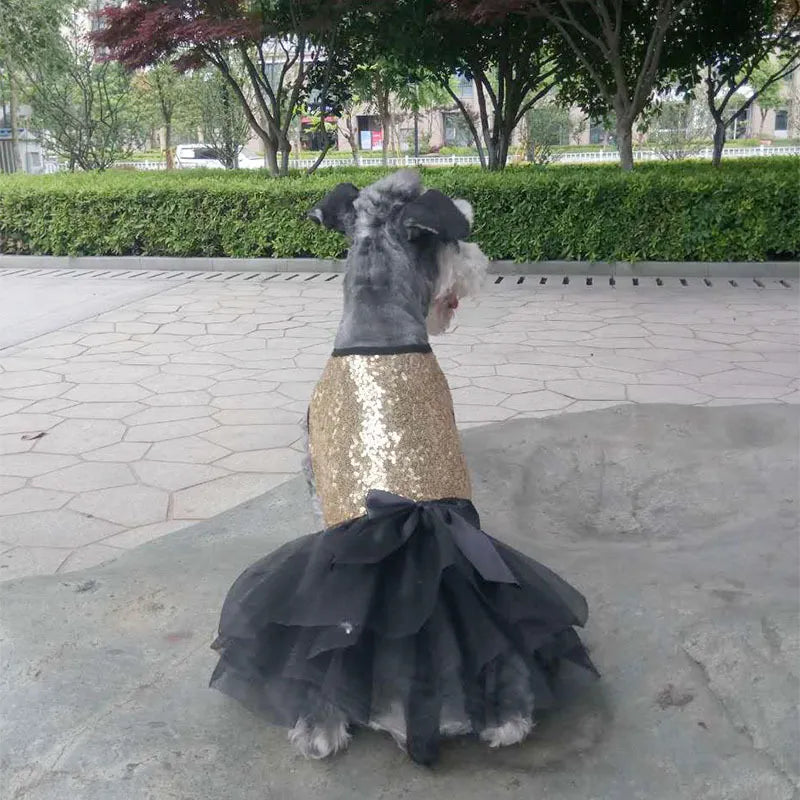 Elégante Robe Pour Chien Avec Paillettes Et Jupe En Tulle En 2 Coloris