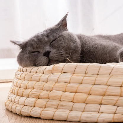 Nid de Chat Fait à la Main - Lit Rond et Doux pour Animaux Domestiques en Matériaux Naturels