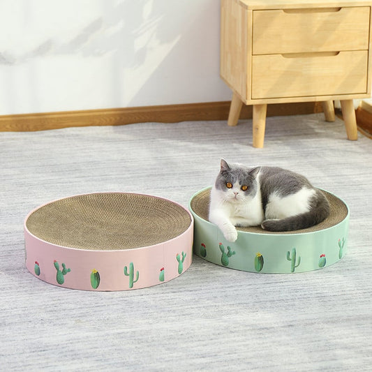 Boucle en Carton pour Chat avec Design Cactus - Griffoir de Style Moderne