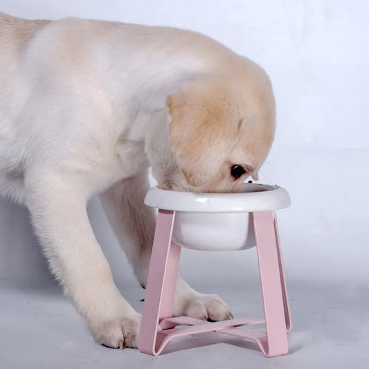 Écuelle pour Chien Surélevée - Écuelle Élégante avec Support Métallique