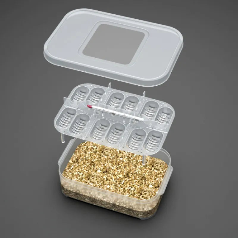 Boîte de Rangement Pratique pour les Œufs et les Petits Objets - avec Thermomètre et Compartiments de Séparation