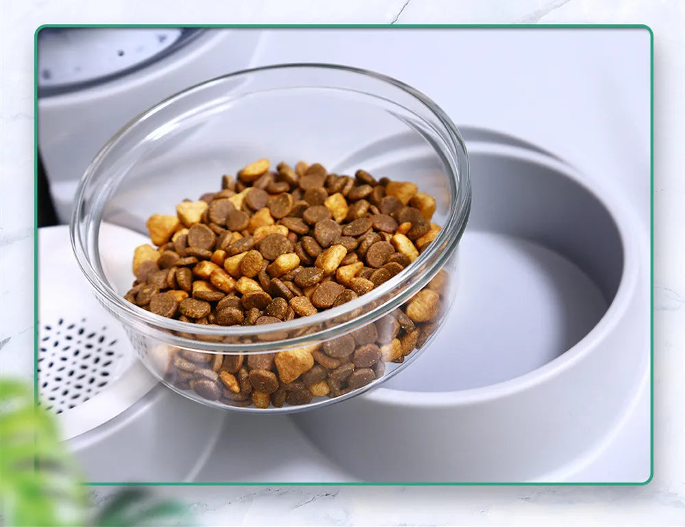 Distributeur D' Eau et de Nourriture pour Animaux Domestiques avec Système Anti-gouttes