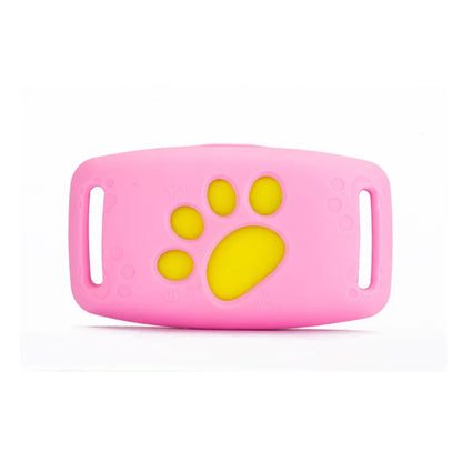 Collier pour Chien avec Fonction Lumineuse Led - Visible dans L' Obscurité Solide et Confortable
