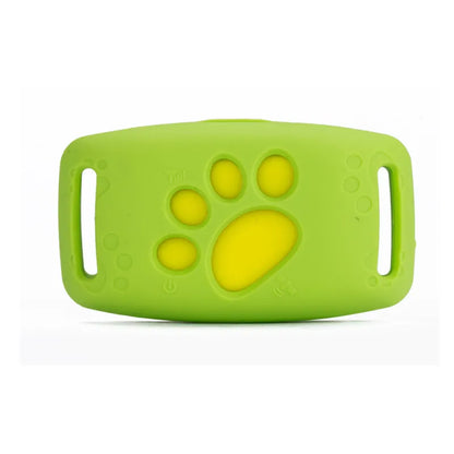 Collier pour Chien avec Fonction Lumineuse Led - Visible dans L' Obscurité Solide et Confortable