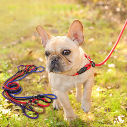 Laisse De Chien En Corde Résistante Avec Mousqueton Pour Une Promenade En Toute Sécurité