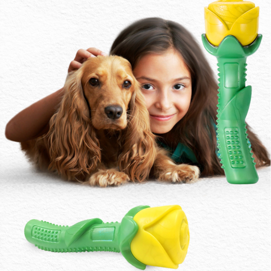 Jouet pour Chien en Forme de Rose - Baguette à Mâcher pour L' Hygiène Dentaire & L' Amusement en Caoutchouc Robuste