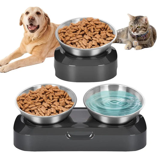 Écuelle Double pour Chat en Acier Inoxydable avec Support