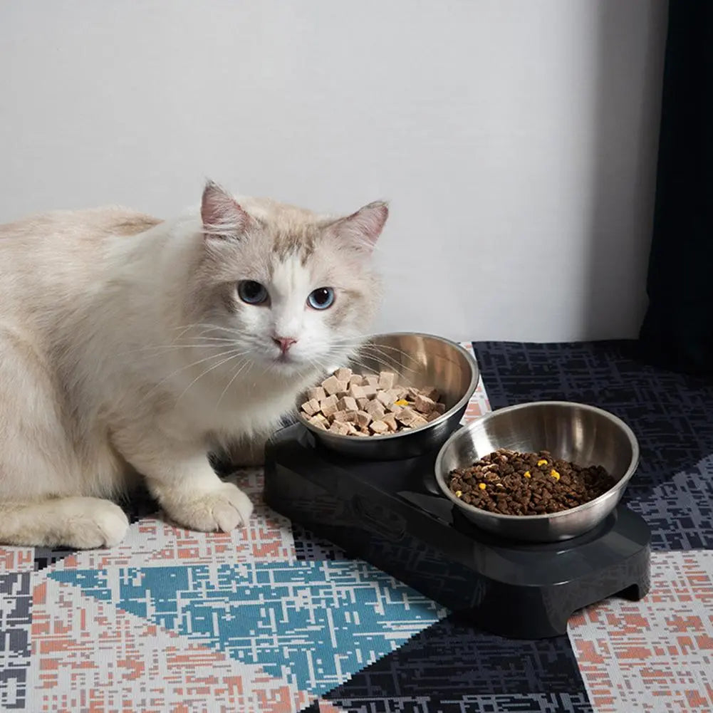 Écuelle Double pour Chat en Acier Inoxydable avec Support