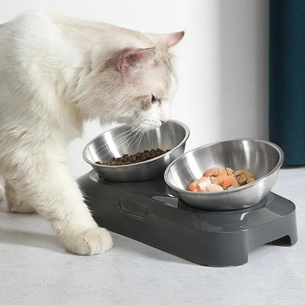 Écuelle Double pour Chat en Acier Inoxydable avec Support