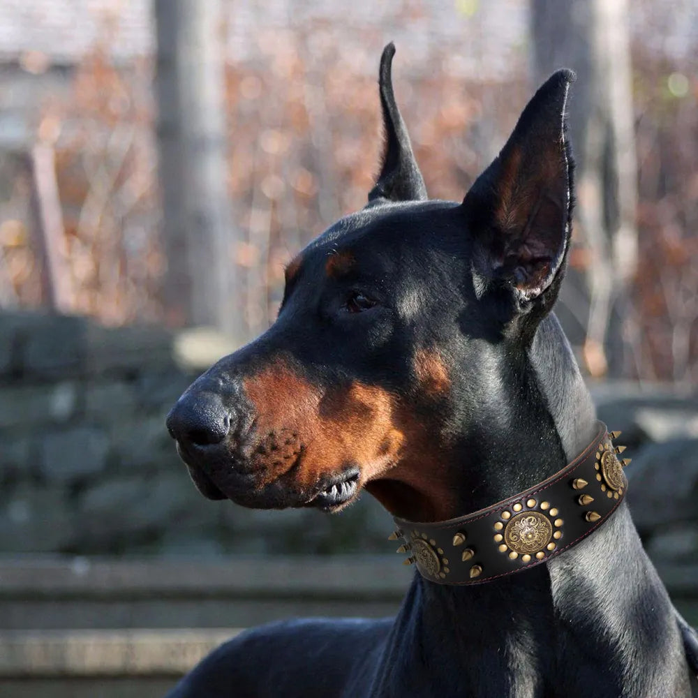 Collier De Chien En Cuir Avec Rivets Et Ornements En Métal Pour Les Grands Chiens