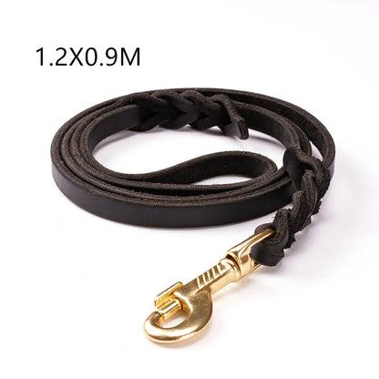Laisse En Cuir Pour Chien Avec Mousqueton Doré - Accessoire Pour Chien Robuste Et Élégant