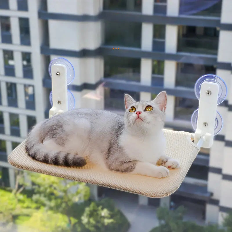 Hamac Pliable À Ventouse Pour Chats