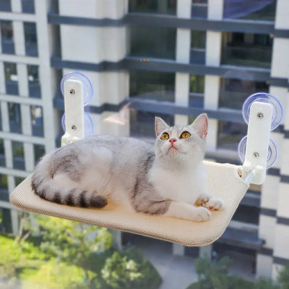 Hamac Pliable À Ventouse Pour Chats