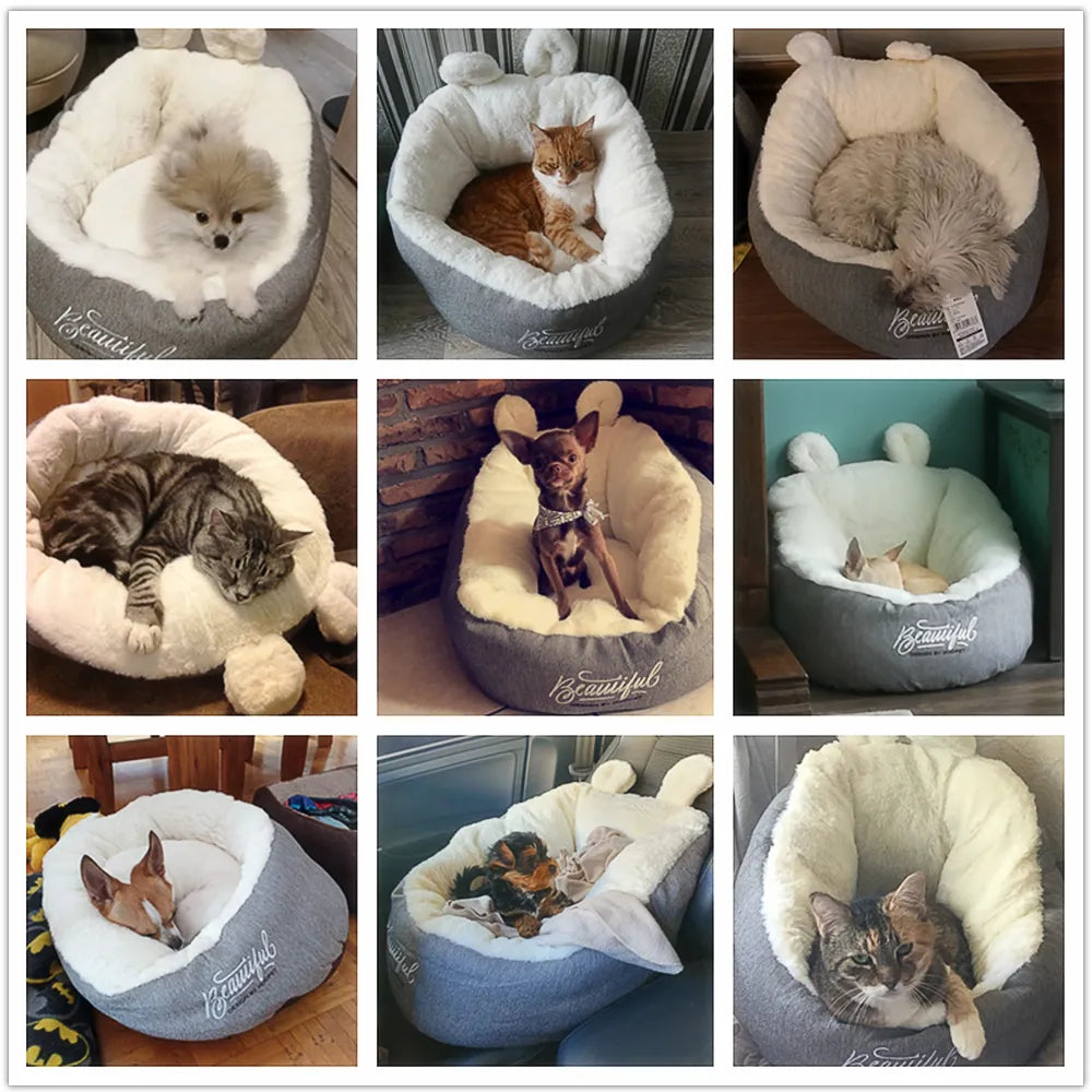 Lit pour Chat Douillet avec Design D' Oreilles - Doux et Confortable pour les Chats et les Petits Chiens