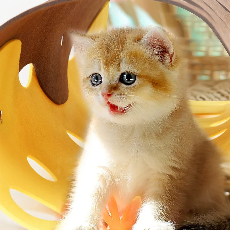 Tunnel pour Chats avec des Trous - Tunnel de Jeu Flexible pour Chats