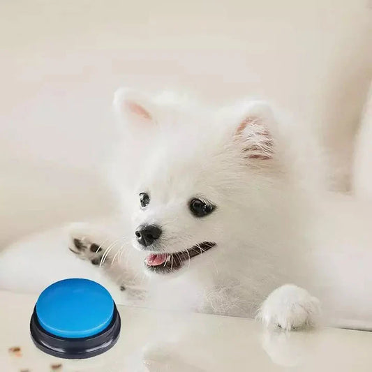 Bouton de Parole Interactif pour Animaux de Compagnie - Dressage & Communication
