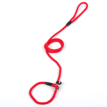 Laisse De Chien En Corde Résistante Avec Mousqueton Pour Une Promenade En Toute Sécurité