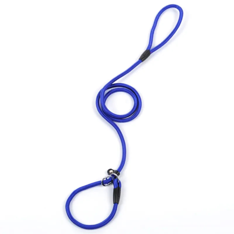 Laisse De Chien En Corde Résistante Avec Mousqueton Pour Une Promenade En Toute Sécurité