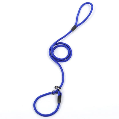 Laisse De Chien En Corde Résistante Avec Mousqueton Pour Une Promenade En Toute Sécurité