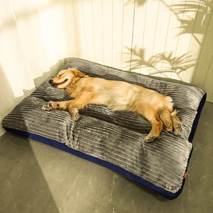 Coussin Ergonomique Pour Chien Avec Housse Amovible