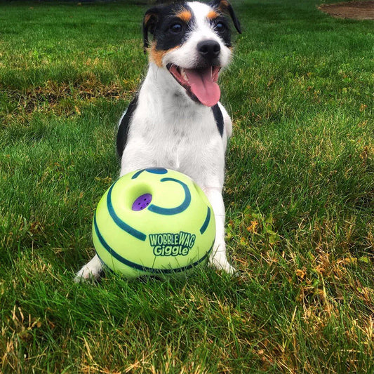 Balle De Jeu Créative Pour Chiens Avec Fonctions Interactives