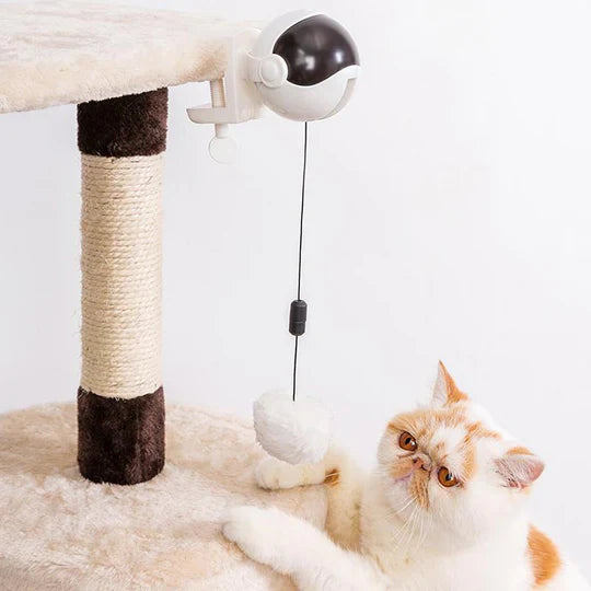 Jouet Automatique pour Chats
