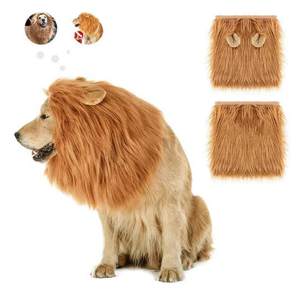 Costume de Chien à Crinière de Lion