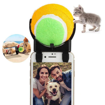Jouets à Balles Interactives pour Animaux Domestiques