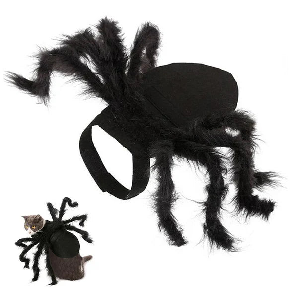 Costume D' Araignée Effrayant pour Animaux Domestiques