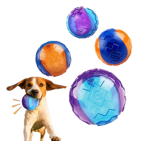 Balle à Mâcher de Longue Durée pour Chiens