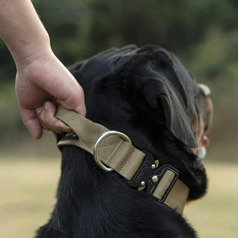 Collier De Chien Pratique Avec Poignée Pour Un Meilleur Contrôle