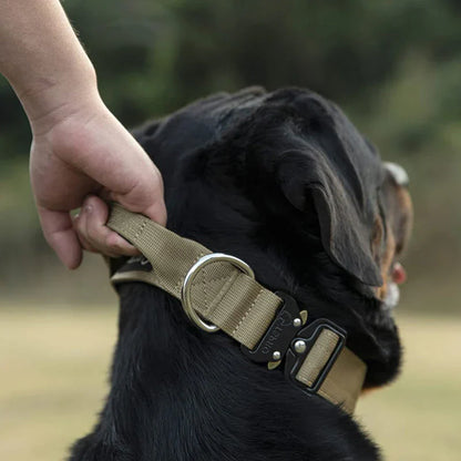Collier De Chien Pratique Avec Poignée Pour Un Meilleur Contrôle