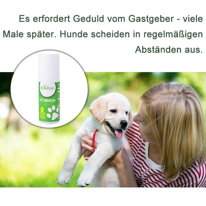 Instructions pour le Placement Ciblé des Toilettes pour Animaux de Compagnie