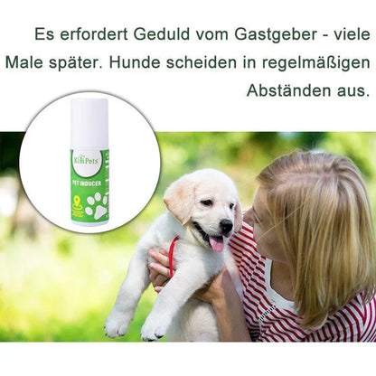 Instructions pour le Placement Ciblé des Toilettes pour Animaux de Compagnie