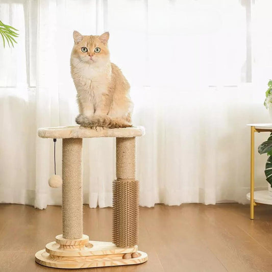 Lounge De Jeu Et De Griffade Pour Chats