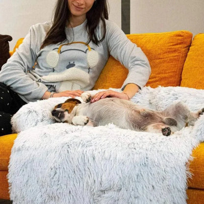Sofa Luxueux Pour Chien