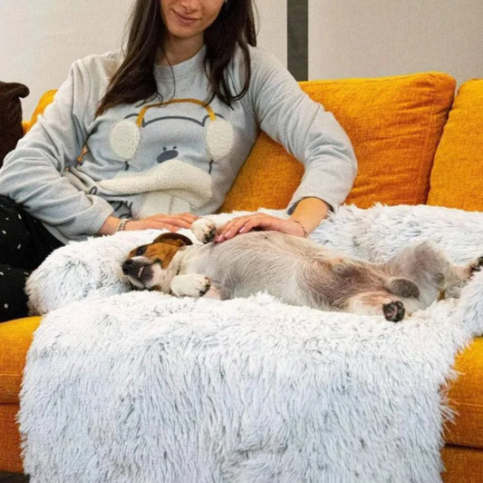 Sofa Luxueux Pour Chien