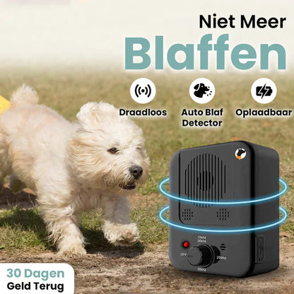 Dispositif Anti-aboiement Automatique Pour Chiens