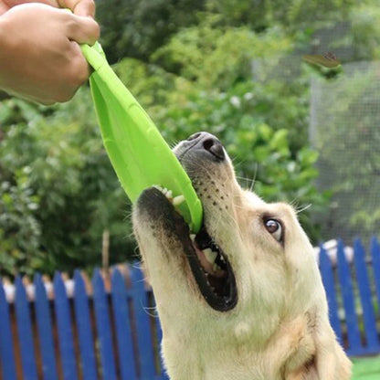 Jouets pour Chiens Frisbee - Disque Robuste pour des Jeux Actifs