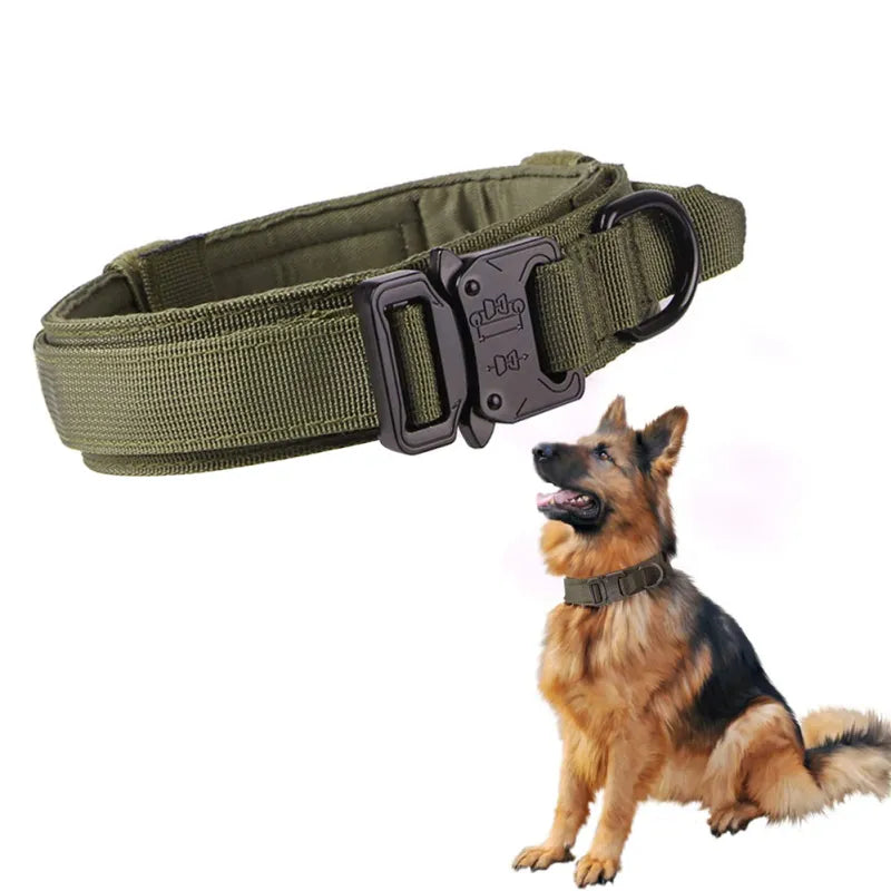 Collier De Chien Réglable En Nylon Avec Fermeture Robuste Par Clic