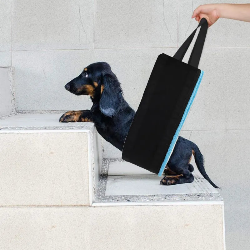 Aide au Transport des Chiens - Aide Confortable pour Porter les Chiens avec des Sangles